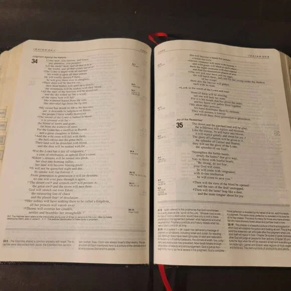 NIV Life Application Study Bible - Picture 4 of 7